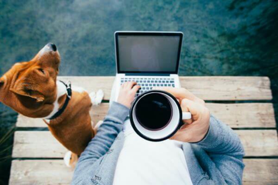 New Virtual Work Courses
